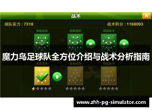 魔力鸟足球队全方位介绍与战术分析指南